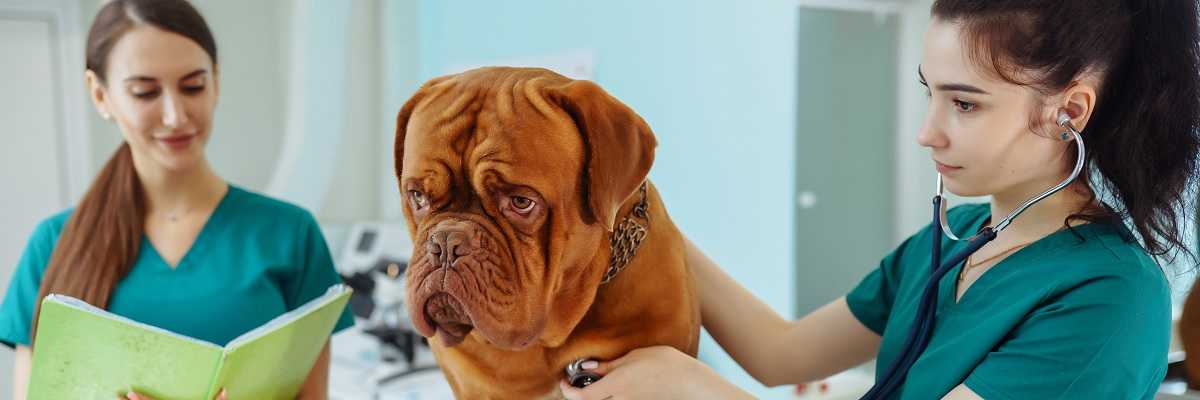 EFEB Felnőttoktatási Központ