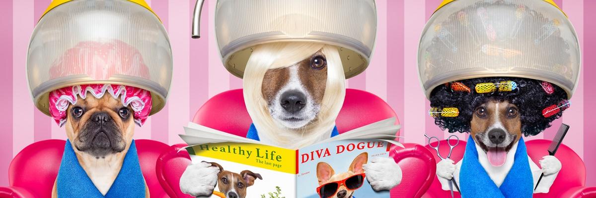 EFEB Felnőttoktatási Központ