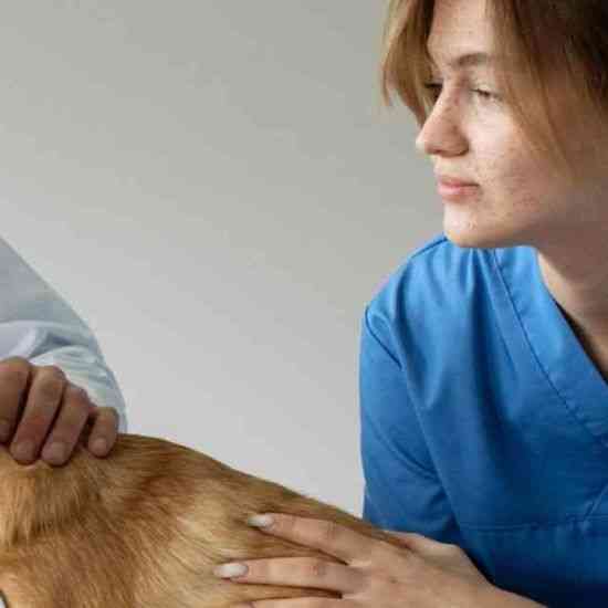 EFEB Felnőttoktatási Központ