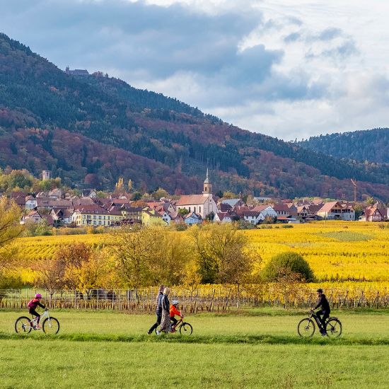 EFEB Felnőttoktatási Központ